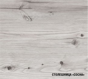 АСАЯ Кухонный гарнитур Экстра 2 (3000 мм) ПМ в Менделеевске - mendeleevsk.ok-mebel.com | фото 8