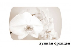 БОСТОН - 2 опоры Триумф в Менделеевске - mendeleevsk.ok-mebel.com | фото 18
