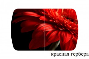 БОСТОН - 2 опоры Триумф в Менделеевске - mendeleevsk.ok-mebel.com | фото 50