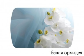 БОСТОН - 2 опоры Триумф в Менделеевске - mendeleevsk.ok-mebel.com | фото 52