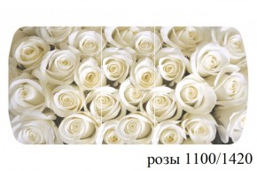 БОСТОН - 3 Стол раздвижной 1100/1420 опоры Брифинг в Менделеевске - mendeleevsk.ok-mebel.com | фото 39
