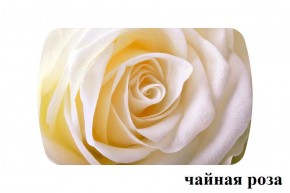 БОСТОН - 3 Стол раздвижной 1100/1420 опоры Брифинг в Менделеевске - mendeleevsk.ok-mebel.com | фото 46