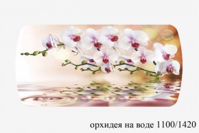 БОСТОН - 3 Стол раздвижной 1100/1420 опоры Брифинг в Менделеевске - mendeleevsk.ok-mebel.com | фото 66