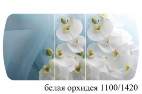 БОСТОН - 3 Стол раздвижной 1100/1420 опоры Триумф в Менделеевске - mendeleevsk.ok-mebel.com | фото 9