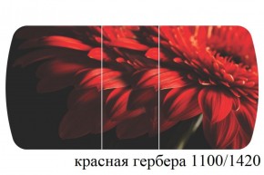 БОСТОН - 3 Стол раздвижной 1100/1420 опоры Триумф в Менделеевске - mendeleevsk.ok-mebel.com | фото 19