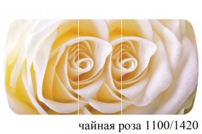 БОСТОН - 3 Стол раздвижной 1100/1420 опоры Триумф в Менделеевске - mendeleevsk.ok-mebel.com | фото 48
