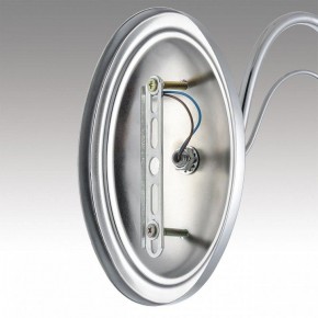 Бра Lumion INCANTO 8034/1W в Менделеевске - mendeleevsk.ok-mebel.com | фото 7