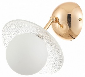 Бра Rivoli Jacqueline Б0066444 в Менделеевске - mendeleevsk.ok-mebel.com | фото