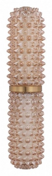 Бра ST-Luce SAGUARO SL6144.301.01 в Менделеевске - mendeleevsk.ok-mebel.com | фото 4