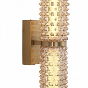 Бра ST-Luce SAGUARO SL6144.301.01 в Менделеевске - mendeleevsk.ok-mebel.com | фото 6