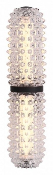 Бра ST-Luce SAGUARO SL6144.401.01 в Менделеевске - mendeleevsk.ok-mebel.com | фото 2