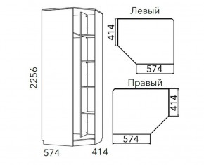 Детская Фанк Шкаф угловой Левый/Правый НМ 013.04-02 М в Менделеевске - mendeleevsk.ok-mebel.com | фото 3