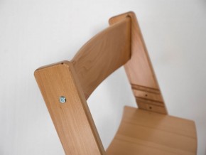 Детский растущий стул из бука Премиум Конёк Горбунёк (Светлый бук) в Менделеевске - mendeleevsk.ok-mebel.com | фото 3