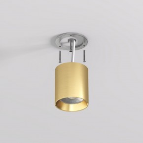 DK2610-SB Накладной светильник SHINE TUBE со светодиодом, D70*H80, IP20, 3000К, 10W, RA?90, сатинированная латунь, алюминий в Менделеевске - mendeleevsk.ok-mebel.com | фото 3
