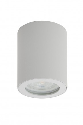 DK3007-WH Накладной светильник влагозащ., IP 44, 15 Вт, GU10, белый, алюминий в Менделеевске - mendeleevsk.ok-mebel.com | фото