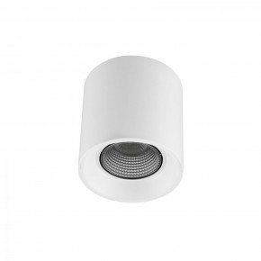 DK3090-WH+CH Светильник накладной IP 20, 10 Вт, GU5.3, LED, белый/хром, пластик в Менделеевске - mendeleevsk.ok-mebel.com | фото