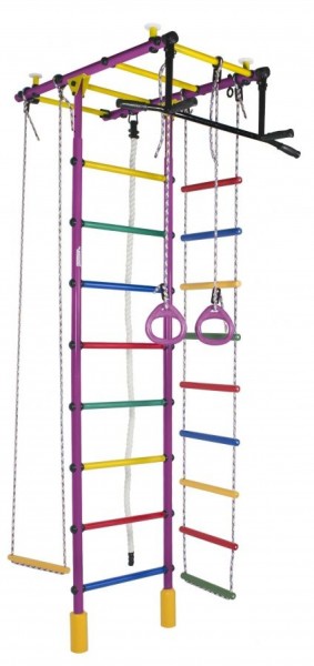 ДСК Атлант цв.фиолетовый радуга: турник, кольца, канат, трапеция, веревочная лестница в Менделеевске - mendeleevsk.ok-mebel.com | фото