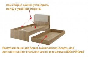 Дуглас (подростковая) М14 Кровать в Менделеевске - mendeleevsk.ok-mebel.com | фото 5