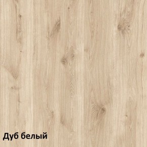 Эйп Шкаф комбинированный 13.14 в Менделеевске - mendeleevsk.ok-mebel.com | фото 4