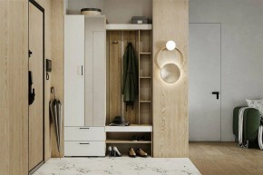 Гарнитур для прихожей Торонто в Менделеевске - mendeleevsk.ok-mebel.com | фото 5