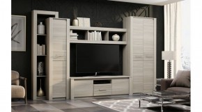 ЭЛИС Гостиная в Менделеевске - mendeleevsk.ok-mebel.com | фото 2