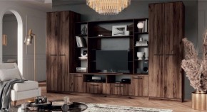 ПРЕМЬЕР Гостиная (Дуб Самдал) в Менделеевске - mendeleevsk.ok-mebel.com | фото