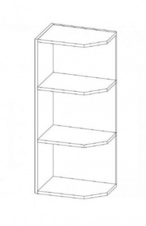 КГ "Агава" ВВТ285 Шкаф навесной торцевой h 900 в Менделеевске - mendeleevsk.ok-mebel.com | фото