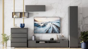 Комод Сибити в Менделеевске - mendeleevsk.ok-mebel.com | фото 5
