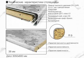 Кухонный фартук со столешницей (А-010) в едином стиле (3050 мм) в Менделеевске - mendeleevsk.ok-mebel.com | фото 7