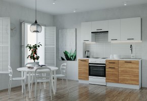 Кухонный гарнитур Лада 2000 (Стол. 38мм) в Менделеевске - mendeleevsk.ok-mebel.com | фото