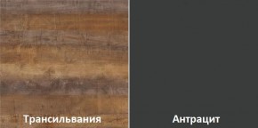 Кухонный гарнитур угловой Трансильвания 2600х1600 мм (Стол. 38 мм) в Менделеевске - mendeleevsk.ok-mebel.com | фото 3