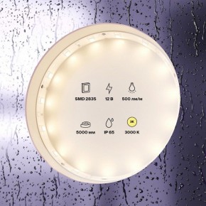 Лента светодиодная Maytoni Led strip 10105 в Менделеевске - mendeleevsk.ok-mebel.com | фото 2