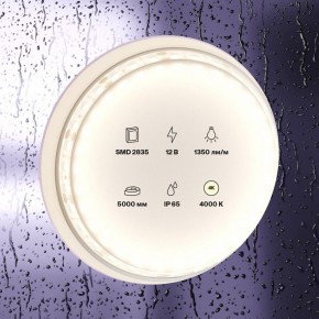 Лента светодиодная Maytoni Led strip 10118 в Менделеевске - mendeleevsk.ok-mebel.com | фото 2