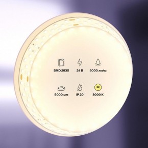 Лента светодиодная Maytoni Led strip 20031 в Менделеевске - mendeleevsk.ok-mebel.com | фото 2