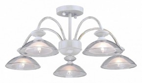 Люстра на штанге Arti Lampadari Noventa Noventa E 1.1.5 W в Менделеевске - mendeleevsk.ok-mebel.com | фото