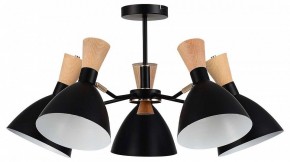 Люстра на штанге EVOLUCE VISTA SLE1256-402-05 в Менделеевске - mendeleevsk.ok-mebel.com | фото