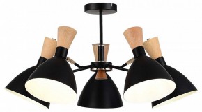 Люстра на штанге EVOLUCE VISTA SLE1256-402-05 в Менделеевске - mendeleevsk.ok-mebel.com | фото 2