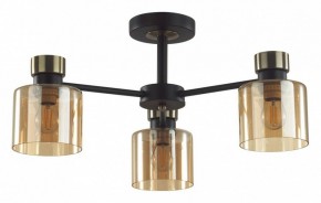 Люстра на штанге Lumion ARLIN 5643/3C в Менделеевске - mendeleevsk.ok-mebel.com | фото