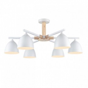 Люстра на штанге Lumion Colange 8095/6C в Менделеевске - mendeleevsk.ok-mebel.com | фото 2