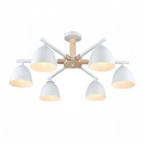 Люстра на штанге Lumion Colange 8095/6C в Менделеевске - mendeleevsk.ok-mebel.com | фото 3