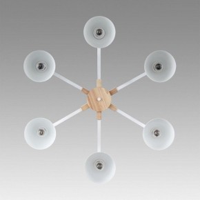 Люстра на штанге Lumion Colange 8095/6C в Менделеевске - mendeleevsk.ok-mebel.com | фото 4