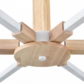 Люстра на штанге Lumion Colange 8095/6C в Менделеевске - mendeleevsk.ok-mebel.com | фото 7