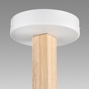 Люстра на штанге Lumion Colange 8095/6C в Менделеевске - mendeleevsk.ok-mebel.com | фото 8