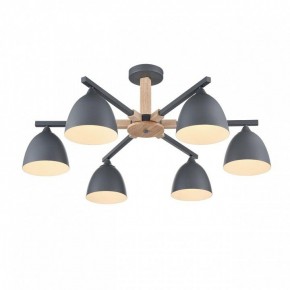 Люстра на штанге Lumion Colange 8096/6C в Менделеевске - mendeleevsk.ok-mebel.com | фото 3
