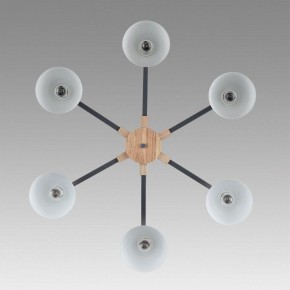 Люстра на штанге Lumion Colange 8096/6C в Менделеевске - mendeleevsk.ok-mebel.com | фото 4