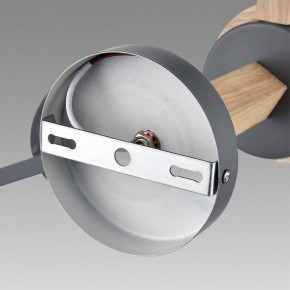 Люстра на штанге Lumion Colange 8096/6C в Менделеевске - mendeleevsk.ok-mebel.com | фото 6