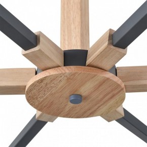 Люстра на штанге Lumion Colange 8096/6C в Менделеевске - mendeleevsk.ok-mebel.com | фото 7