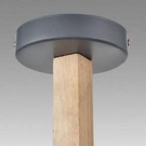 Люстра на штанге Lumion Colange 8096/6C в Менделеевске - mendeleevsk.ok-mebel.com | фото 9