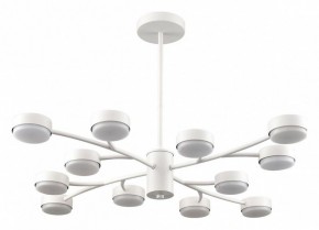 Люстра на штанге Lumion TORINA 8265/12 в Менделеевске - mendeleevsk.ok-mebel.com | фото
