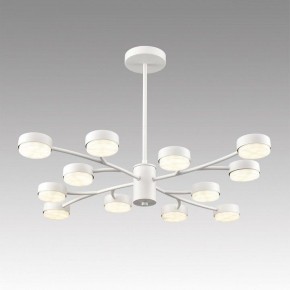 Люстра на штанге Lumion TORINA 8265/12 в Менделеевске - mendeleevsk.ok-mebel.com | фото 3